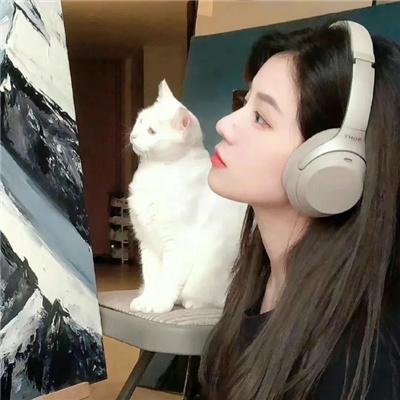两个杀手真心胶